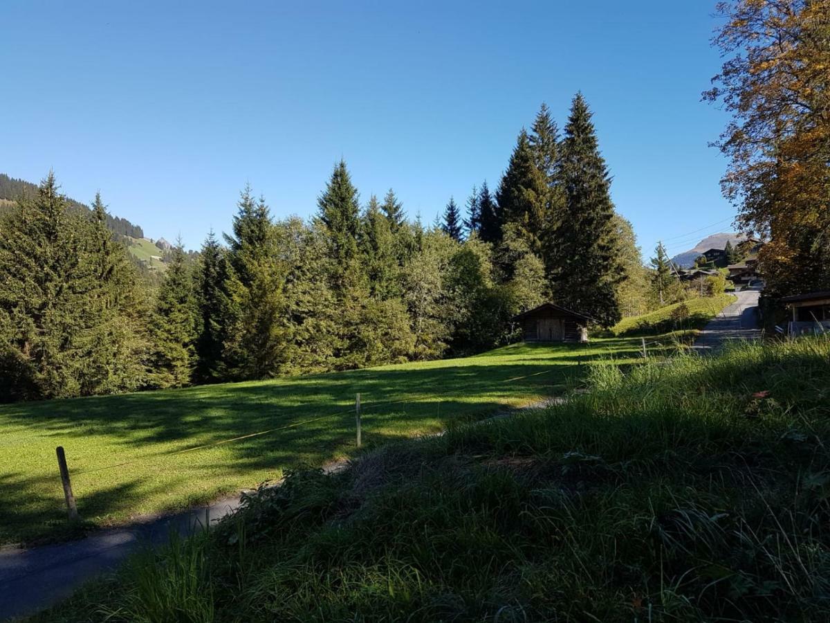 Chalet Grueneggli Adelboden Exterior photo